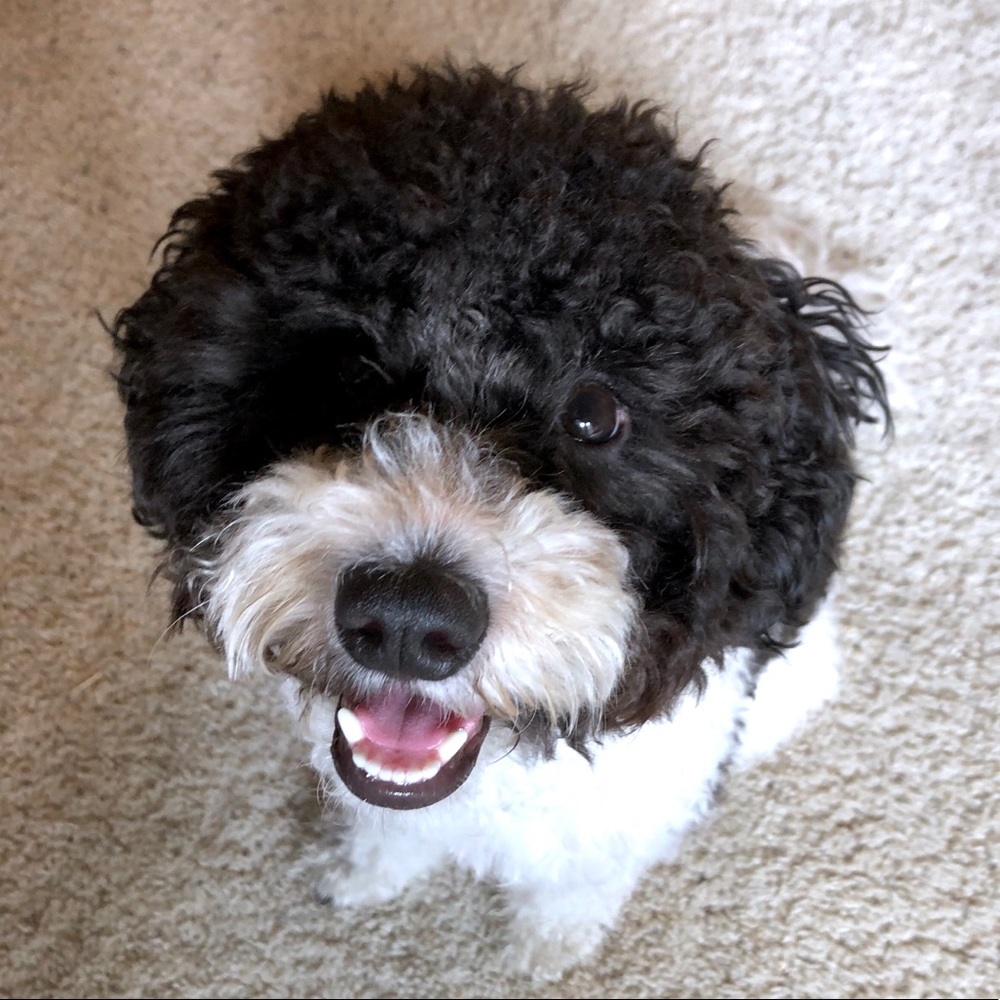 Hi!